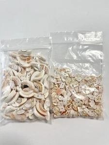 Mix Natural Conch Shell Chip Beads  5~10mmGemstone Jewelry Making Bulk - Picture 1 of 8
