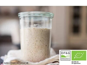 80g di Lievito Selvatico Biologico 44 anni di Segale Anticipo di Kombuchaorganic® - Foto 1 di 5