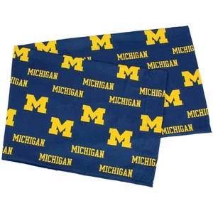 ETC Body Pillow23 Pillow, 20" x 60", Michigan Wolverines - Picture 1 of 6