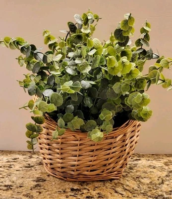 Cesta de pared tejida de mimbre colgante parte posterior plana decoración del hogar usada en excelente estado núcleo de cabaña de ratán Foto 1 de 4