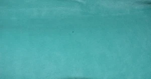 BERMUDA GREEN  SOLID VELOUR  POLYESTER FABRIC  SLIGHT STRETCH   18X60 INCHES - Picture 1 of 2