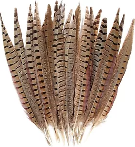 RINGNECK PHEASANT TAIL FEATHERS - Pair - Fly Tying Material - Fly Tying Feathers - Picture 1 of 2