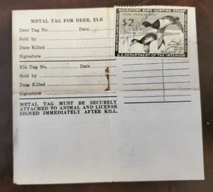 US Duck stamp RW21 on 1954 Idaho Hunting License Lot#J262 - Picture 1 of 2