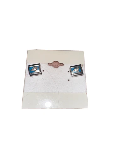 Carolina Panthers Earrings Cover