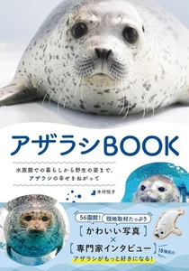 Livre de sceaux japonais du Japon - Photo 1 sur 4