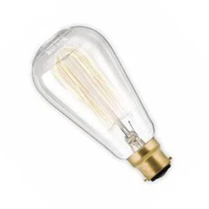 NAV2260Z - 240v 60w B22d Squirrel Cage ST64x143mm - Picture 1 of 1