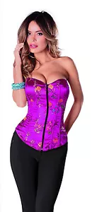 Gorgeous Fuchsia Sip Front Sweetheart Corset, Soft Boning by Escante Lingerie. - Picture 1 of 2