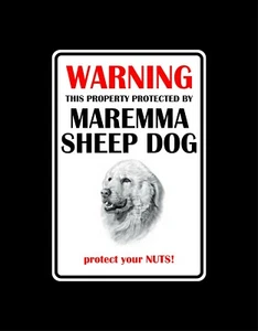 WARNING THIS PROPERTY PROTECTED BY MAREMMA - Picture 1 of 1