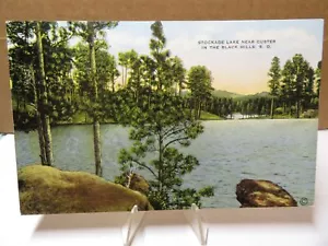 Stockade Lake vicino a Custer nelle colline nere SD cartolina di lino - Foto 1 di 2