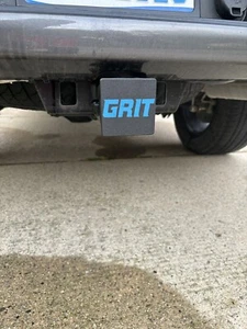 Detroit Lions GRIT, 2 Inch Trailer Hitch Insert, 3D Printed - Picture 1 of 5