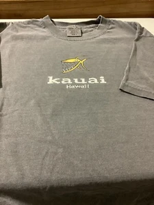 Men's Comfort Colors Short Sleeve T Shirt Soft Gray Size S Kauai Hawaii - Picture 1 of 4