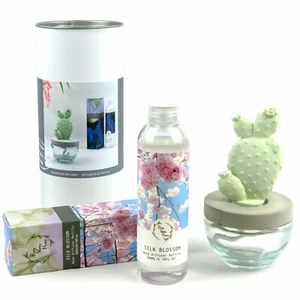 Pretty Valley Home Bunny Ear Cactus Ceramic Diffuser Combo Silk Blossom 200ml - Picture 1 of 3