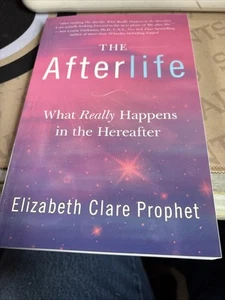 The Afterlife Paperback - Picture 1 of 3