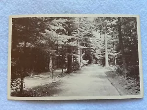 Cartolina d'epoca Savery Avenue, Carver, Massachusetts - Foto 1 di 2