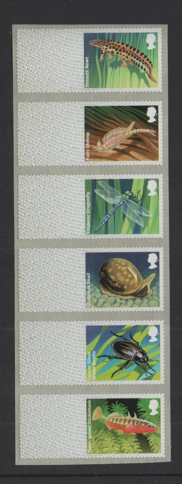 PONDS FRESHWATER LIFE BLANK STRIP of 6  SMOOTH NEWT  TOP  POST GO  SUPERB SCARCE - Image 1 of 1
