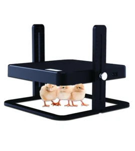 Chick Heating Plate (Durable) with Adjustable Height 14x 11.4 X 2.3" - Picture 1 of 6