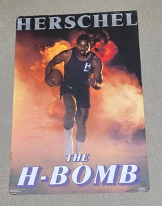 DALLAS COWBOYS HERSCHEL WALKER VINTAGE POSTER 2'x3'!!! - Picture 1 of 1