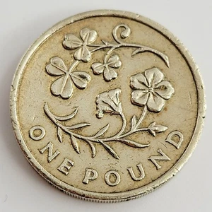 2014 £1 Münze Floral Flachs & Kleeblatt Nordirland zirkuliert - Bild 1 von 3