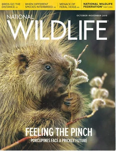 National Wildlife Magazine Oct/November 2019 Porcupines Face a Prickly Future - Bild 1 von 1