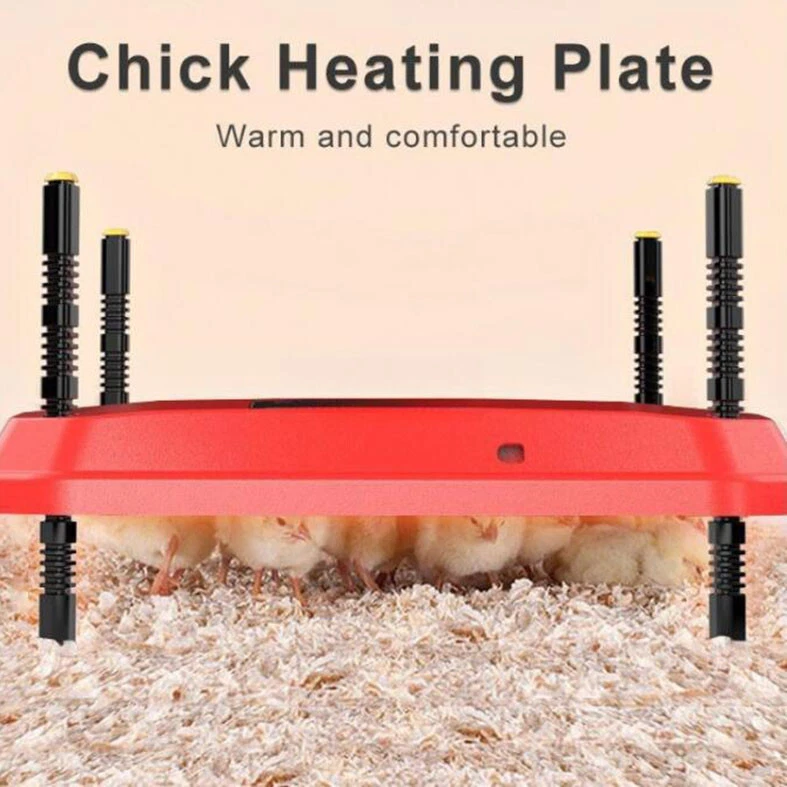 60*40cm Chick Brooder Heating Plate Chicken Coop Heater Chicken Warmer - image 1 of 4