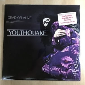 Dead or Alive/Youthquake FE40119 Used LP - Picture 1 of 1