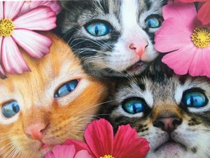 TARJETA DE CUMPLEAÑOS DE EE. UU. "¡Abrazo de grupo!" AVANTI Kittens  - Imagen 1 de 2