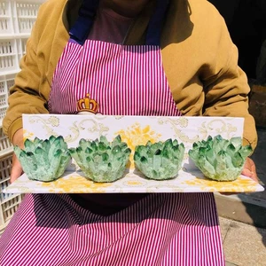 4LB 4pcs New find green Phantom Quartz Crystal Cluster mineral samples heals - Picture 1 of 18