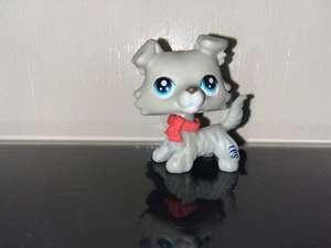 Authentic Littlest Pet Shop LPS #363 Light Gray Collie Dog Blue Eyes Please Read - Picture 1 of 2