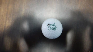 Quail Chase Golf Couse pallina da golf - Foto 1 di 2