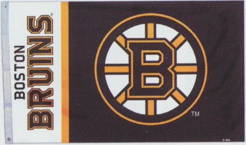 High Quality 3 x 5 Boston Bruins NHL Licensed Flag - Free Shipping Cover
