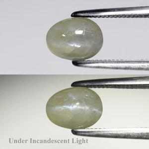 💎 1.36ct Oval Cabochon Natural Green Cat's Eye Chrysoberyl - Sri Lanka Gemstone - Picture 1 of 6