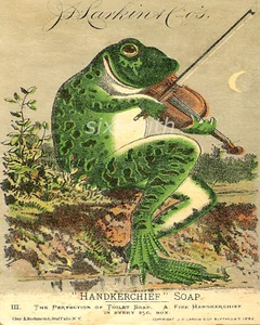 Frosch Poster für Taschentuch Seife hochauflösender Giclée 8x10 Druck - Bild 1 von 1