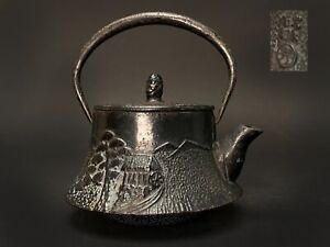 Teapot kettle Tetsubin Nanbu Tekki Tea utensils Cast Iron Japanese Rare Pattern