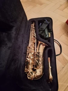 Altsaxophon mit Koffer und Notenständer Gebrauch - Bild 1 von 2