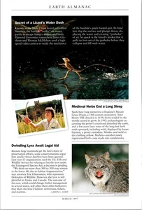 National Geographic Earth Almanac Secret of a Lizard's water Dash VTG Print Ad - Picture 1 of 1