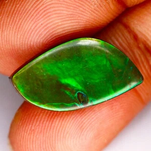 8.06 Cts Canadian Ammolite Multi Color Play Natural Gemstone - Picture 1 of 2