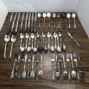 ONEIDA Community Silver Artistry ~ 51 Pcs Flatware Set Silverplate HEAVY TARNISH - Picture 1 of 16