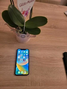 Apple iPhone XS Max - 256GB - Schwarz (Ohne Simlock) (Dual-SIM) - Bild 1 von 8