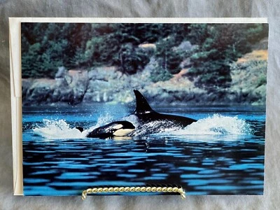 Tarjeta de felicitación en blanco Healthy Planet de colección ~ orca ballena y bebé Foto 1 de 3