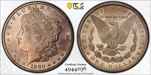 1880 S Morgan Silver Dollar PCGS MS65 -Bellissimo tono e bella lucentezza - scudo oro - Foto 1 di 9