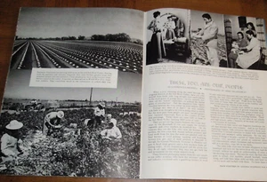 ARIZONA HIGHWAYS MAY 1948-PETRIFIED FOREST -JAPANESE-AMERICANS IN AZ -METEORITES - Picture 1 of 10