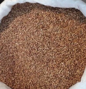 Buchweizen geröstet aus Polen-1A, Bio-Qualität ab 500g bis 100kg - Bild 1 von 5