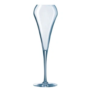 Flûte champagne effervescent Open up 20 cl (lot de 6) kwarx 7.4 cm chef et somme - Imagen 1 de 2