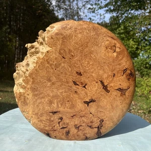 Warner Vienmean Maple Burl Signed Rustic Wood Vase 11” Knotty Cabin Lodge Decor - Picture 1 of 9