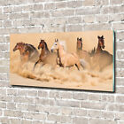 Glas-Bild Wandbilder Druck auf Glas 140x70 Deko Tiere Pferde Wste
