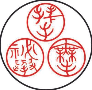 SHIATSU #1 DVDs Chi Healing Arts Reiki Massage MITOSE KOSHO Taoist - Foto 1 di 8