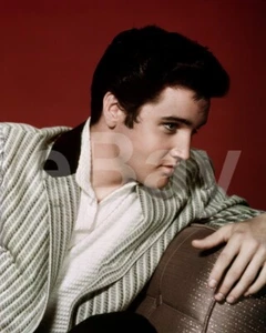 Elvis Presley 10x8 Photo - Picture 1 of 1