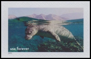 US 5713h National Marine Sanctuaries Hawaiian Monk Seal F Single MNH 2022 - Bild 1 von 1