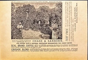 Anuncio impreso antiguo Chase & Sanborn Coffee Plantation Boston MA 1888 - Imagen 1 de 6