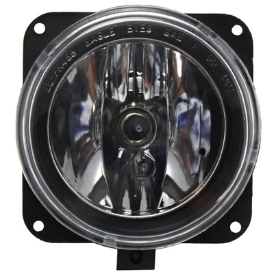 Luz antiniebla delantera izquierda o derecha Ford Escape Mustang Lincoln LS 2002-2006 Foto 1 de 4